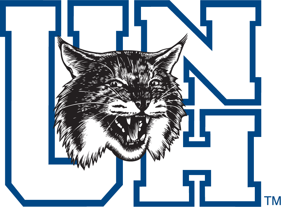 New Hampshire Wildcats 1993-2000 Alternate Logo diy iron on heat transfer